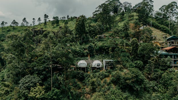 Hotels Surrounded by Secret Jungle Beaches