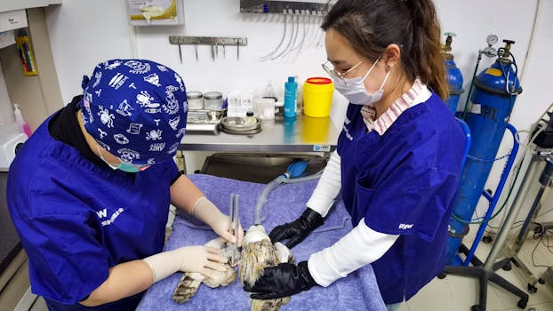 Hotels Surrounded by Wildlife Rescue Centers