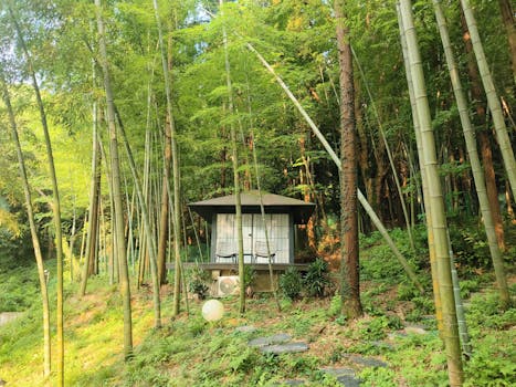 Hotels That Provide Eco-Smart Bamboo Cabins