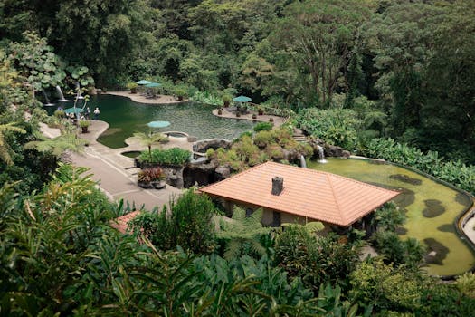 Retreat into Jungle Chic at Nayara Gardens, Costa Rica
