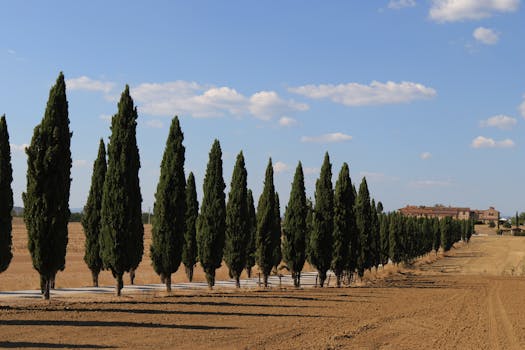 Tuscan Countryside Dreams at Castello Banfi – Il Borgo, Italy