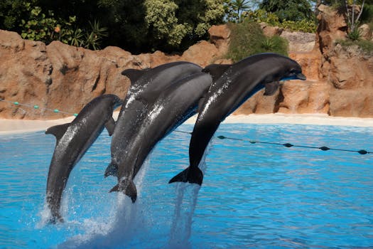 Villas Surrounded by Dolphin Passageways