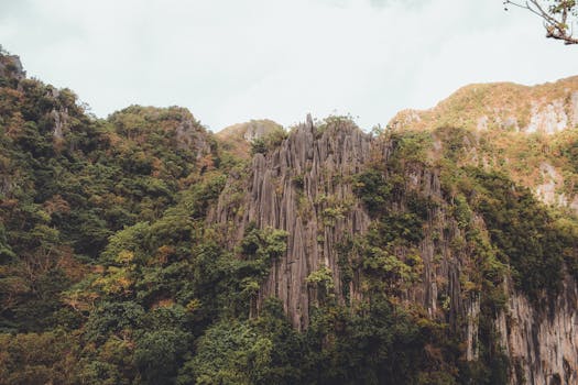 Wander into Island Sophistication at El Nido Pangulasian Island, Philippines