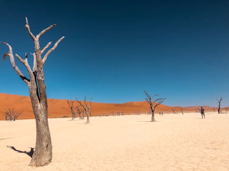 Watch Desert Stars at Sossusvlei Desert Lodge, Namibia